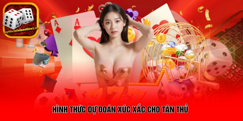 Hình thức dự đoán xúc xắc cho tân thủ